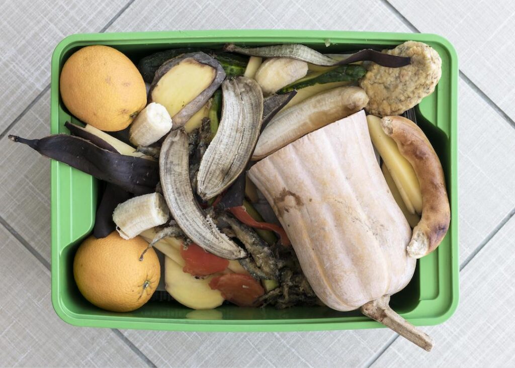spreco alimenare